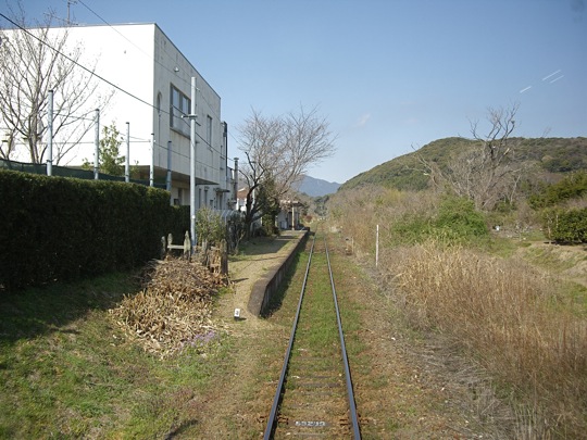 IMGP0380.jpg