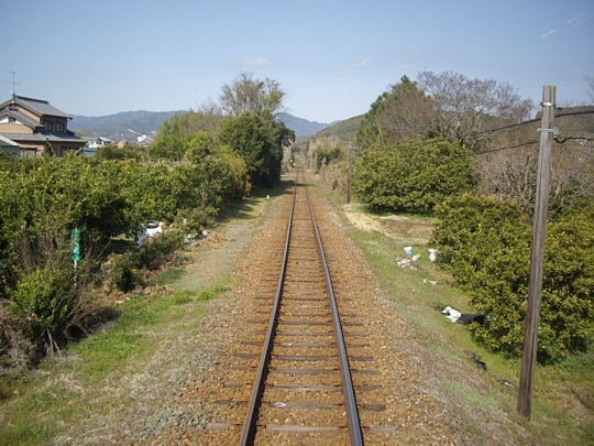 IMGP0381.jpg