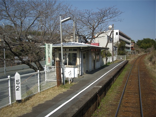 IMGP0382.jpg