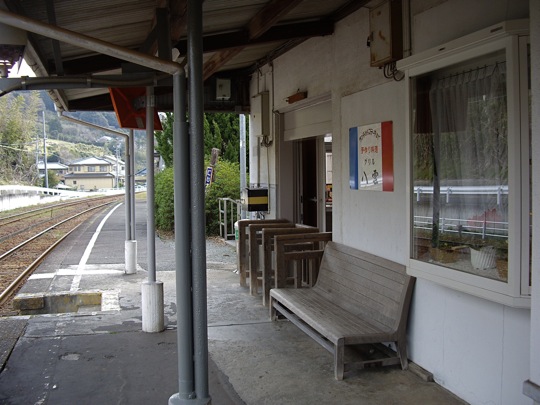 IMGP0416.jpg