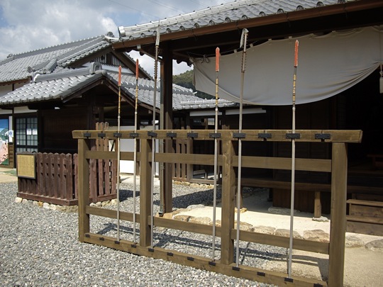 IMGP0509.jpg