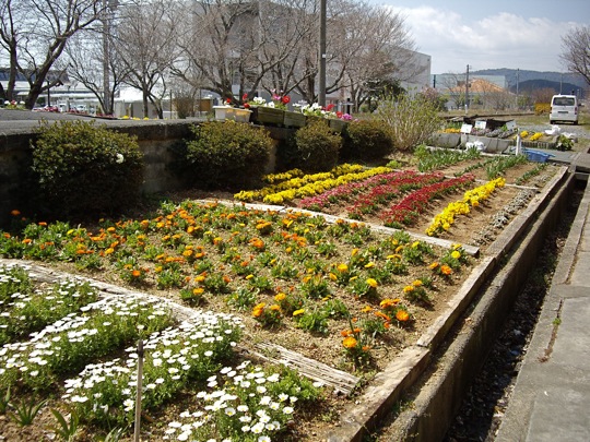 IMGP0600.jpg