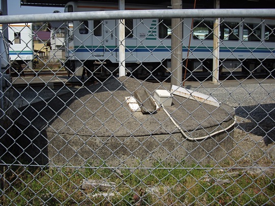 IMGP0723.jpg