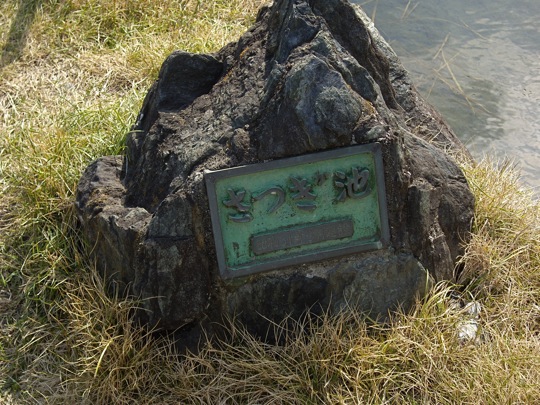 IMGP0826.jpg
