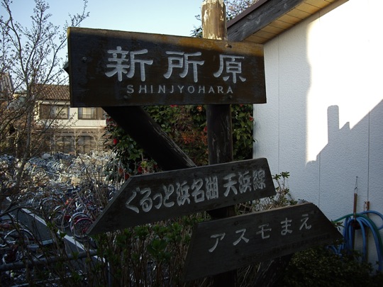 IMGP0981.jpg