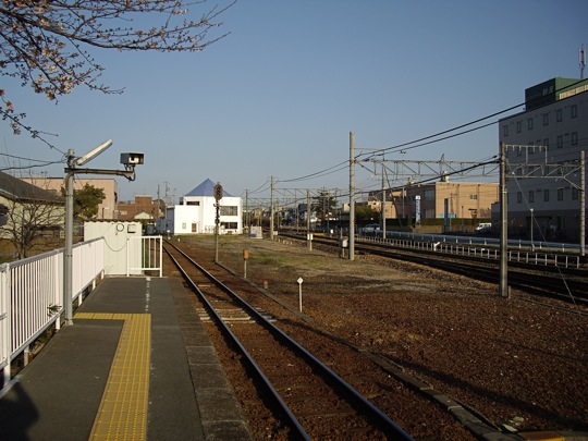 IMGP0983.jpg