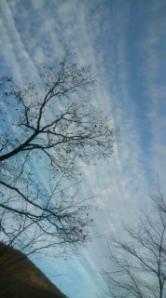 20111210161359.jpg