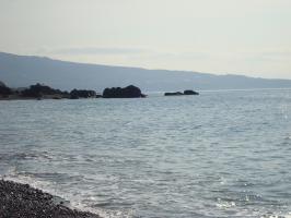 DSC01924 (800x600)