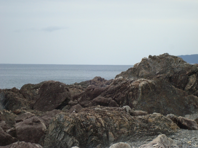 DSC01986 (640x480)