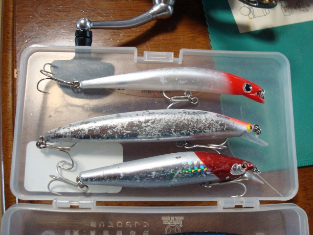 DSC02009 (640x480)