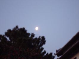 DSC02056 (640x480)