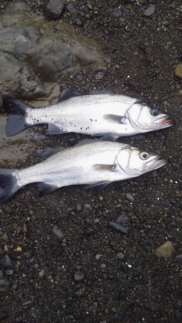 2012031808010000 (640x360)