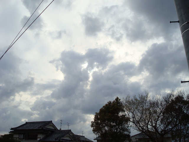 DSC02236 (640x480)