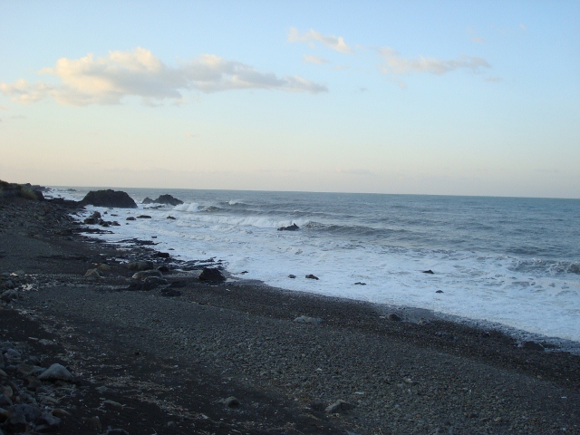 DSC02250 (640x480)