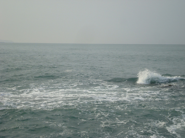 DSC02285 (640x480)