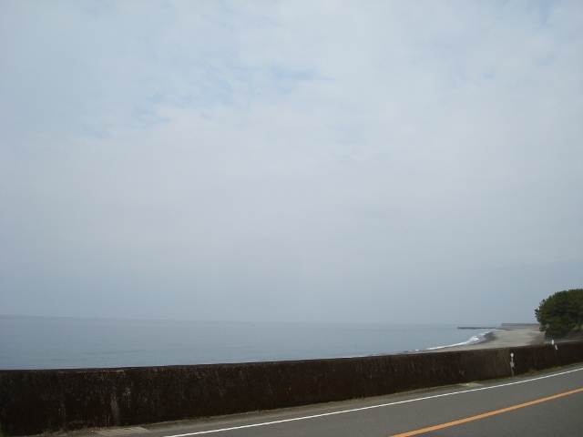 DSC02306 (640x480)