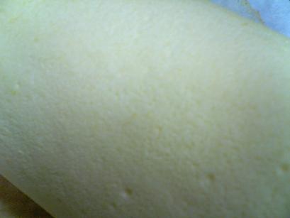 SBSH1565.JPG