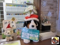待合クリスマス１