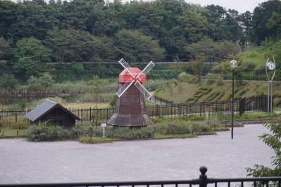 DSC01964.jpg