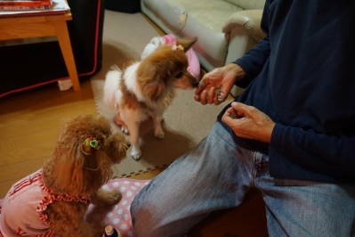 DSC01987.jpg