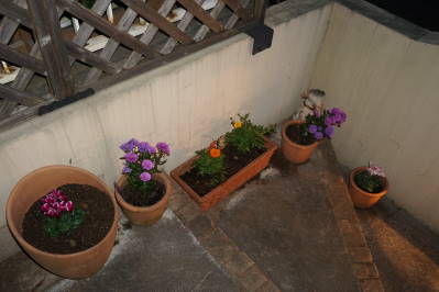 DSC02082.jpg