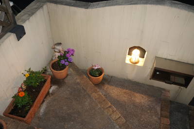 DSC02084.jpg