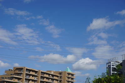 DSC02411.jpg