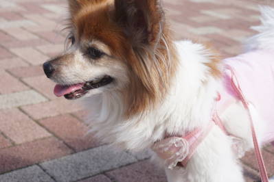 DSC02422.jpg