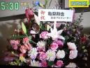 ズムサタの花