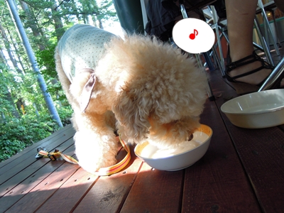 20110920-05.jpg