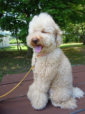 20110926-14.jpg