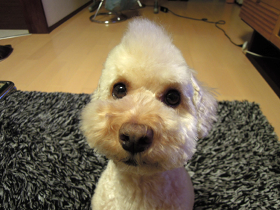 20111013-03.jpg