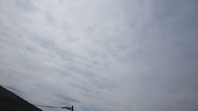 20140918pic.jpg