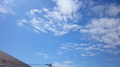 20140926pic.jpg