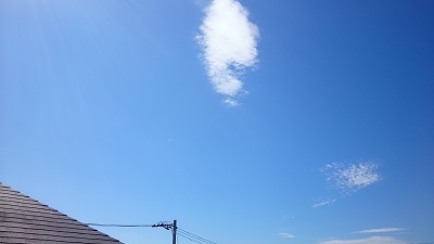 20141003pic.jpg