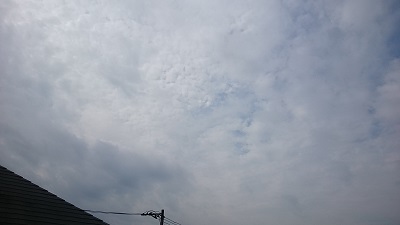 20141004pic.jpg