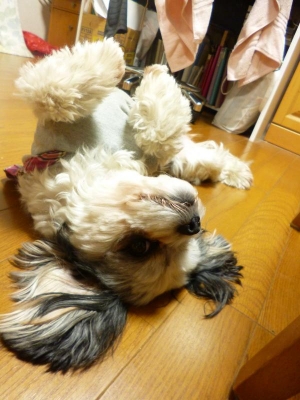 20131203