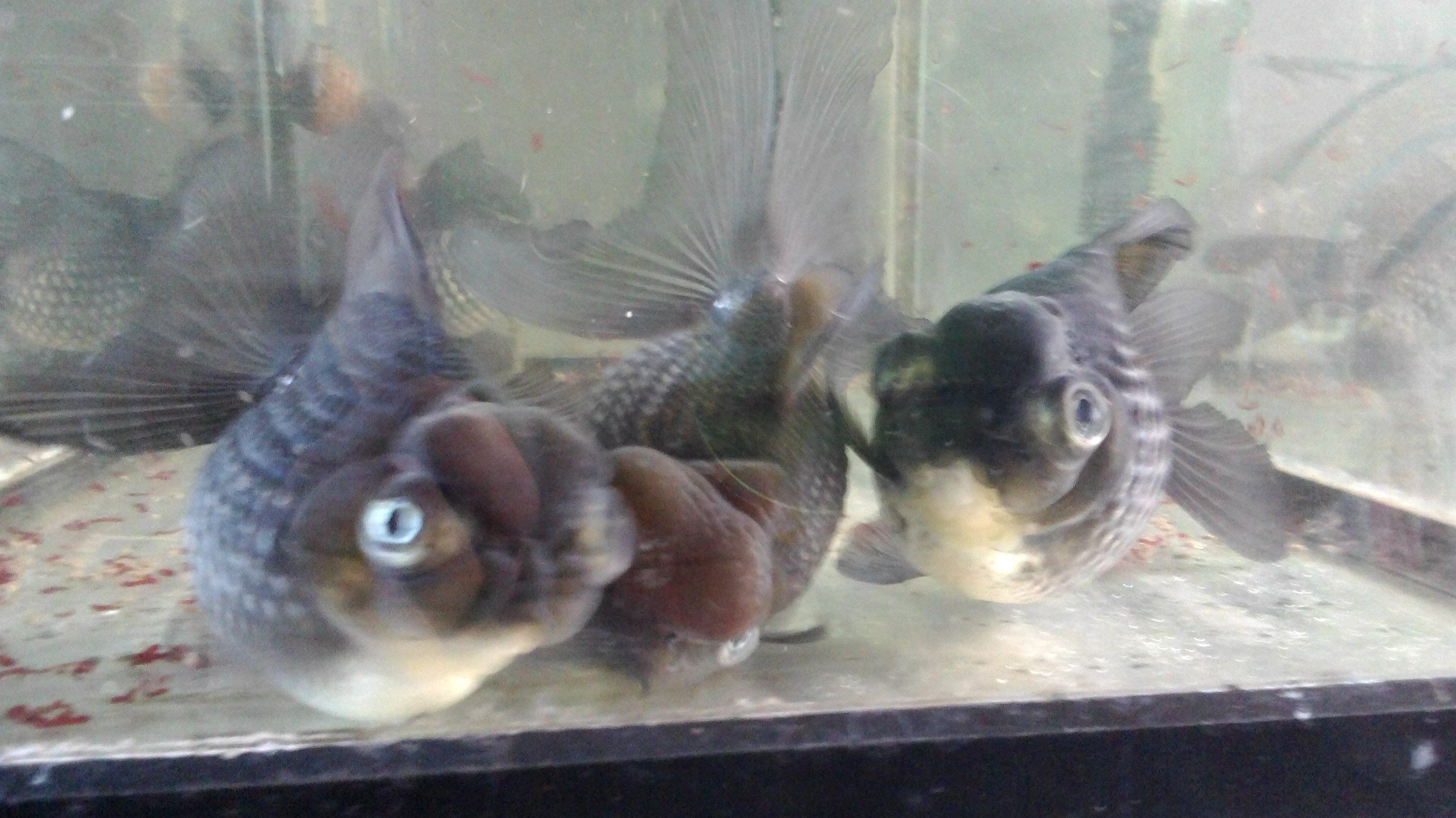 20141007164633985.jpg