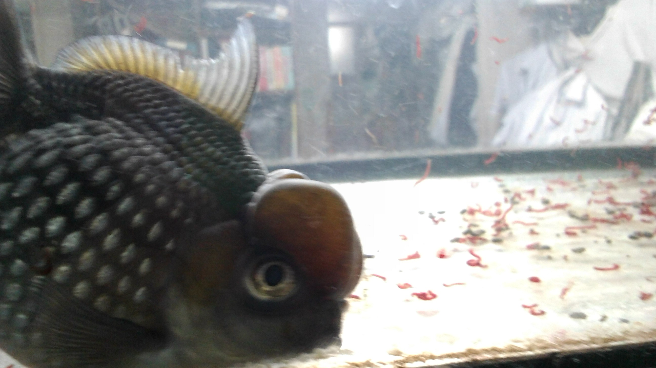 20141007164634442.jpg