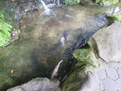 IMG_3325.jpg