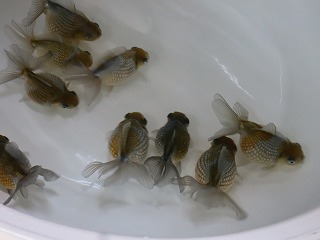 IMG_3483.jpg
