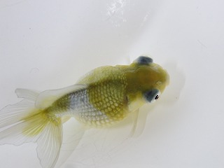 IMG_3532.jpg
