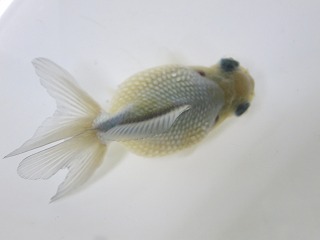 IMG_3541.jpg