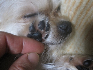 s-IMG_1173_20120219031626.jpg