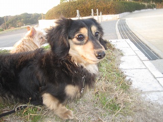 s-IMG_2794.jpg