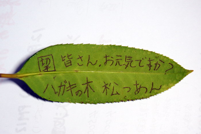 DSC06038.jpg