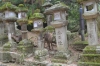 鹿3