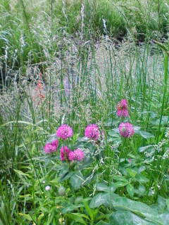 201305210630.jpg