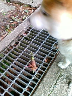 201305210656.jpg