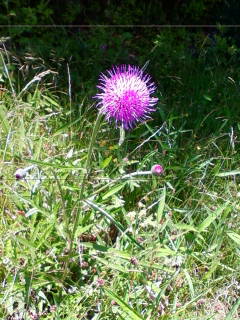 201305241121.jpg